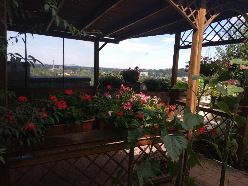 Apartmany Zatec Exterior photo